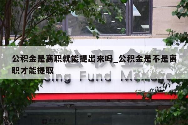 公积金是离职就能提出来吗_公积金是不是离职才能提取